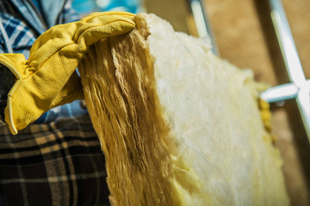 Best Residential Insulation in Manchaca, TX