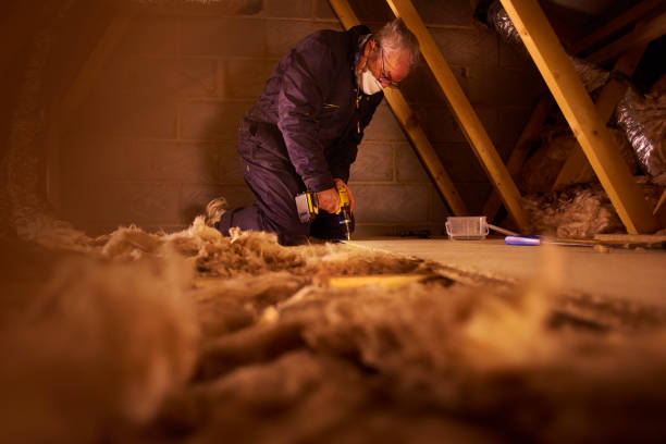 Best Fiberglass Insulation in Manchaca, TX